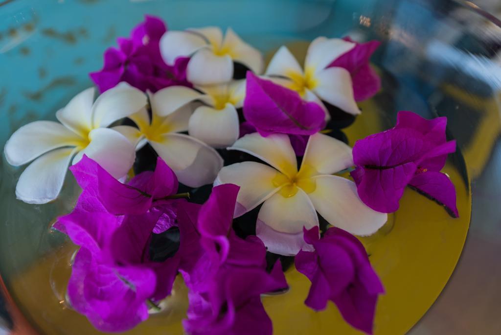 Villa Lodge 4 Epices Gustavia Zewnętrze zdjęcie